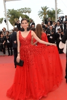 Cannes Film Festival