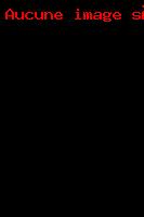 Cérémonie d'Ouverture